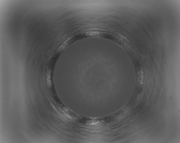X0000058760267200510071524