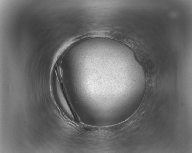 X0000058760294200510071523