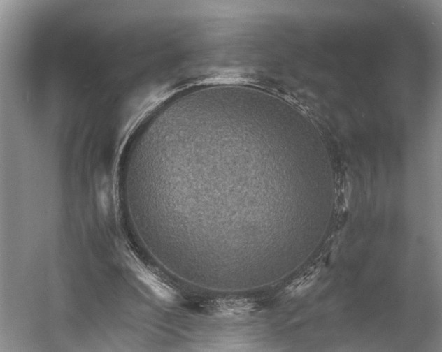 X0000058760296200510071523