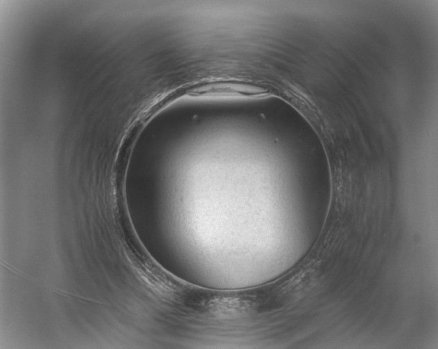 X0000058760298200510071523