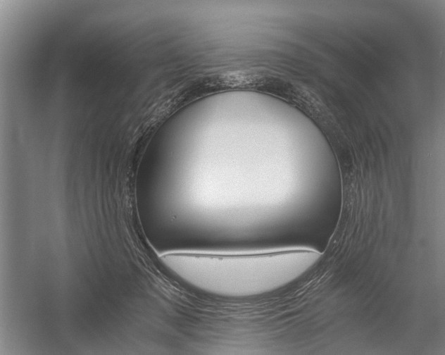 X0000058760317200510071523