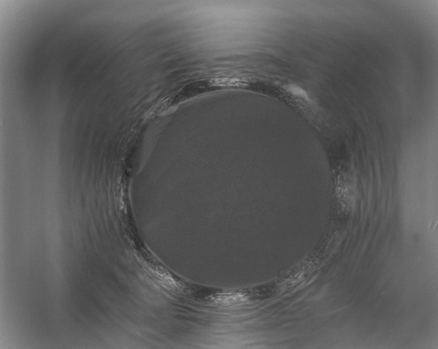 X0000058760322200510071523