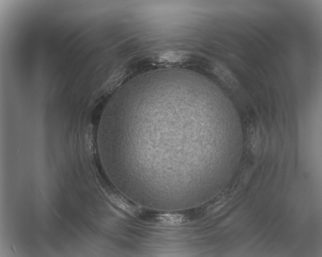 X0000058760328200510071523