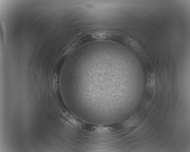 X0000058760332200510071523