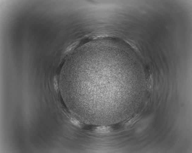 X0000058760335200510071523