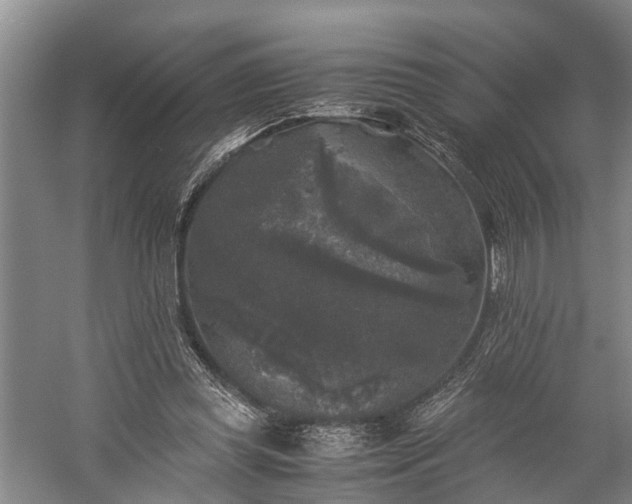 X0000058760349200510071522