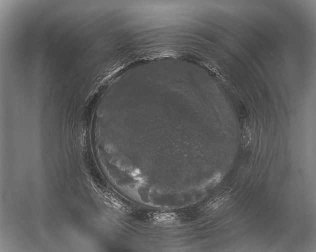 X0000058760355200510071522