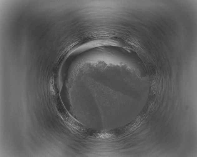 X0000058760360200510071522