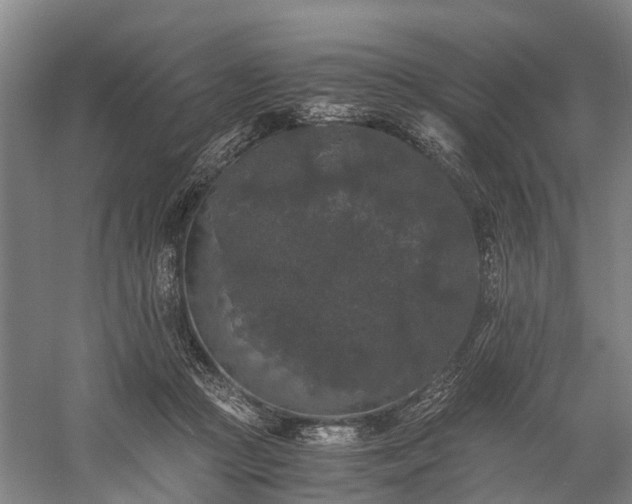 X0000058760361200510071522