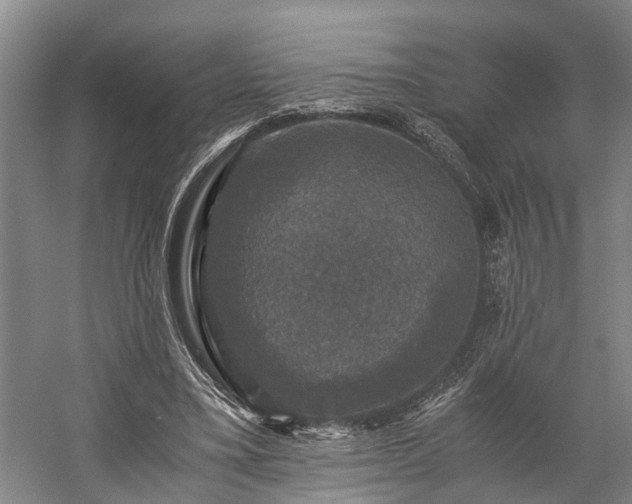 X0000058760395200510071521