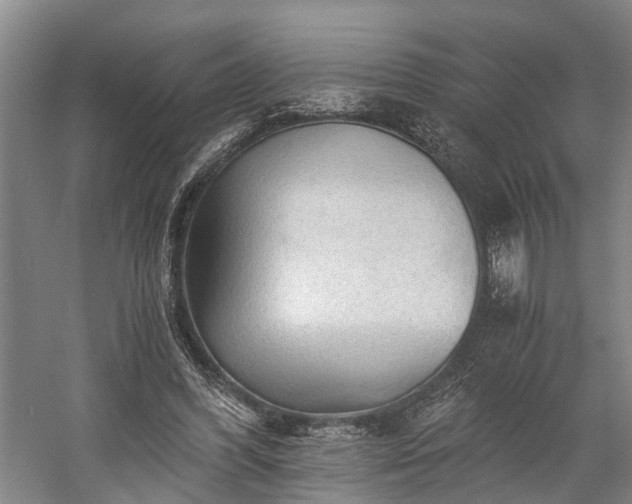 X0000058760396200510071521