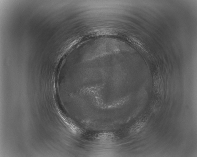 X0000058760398200510071521