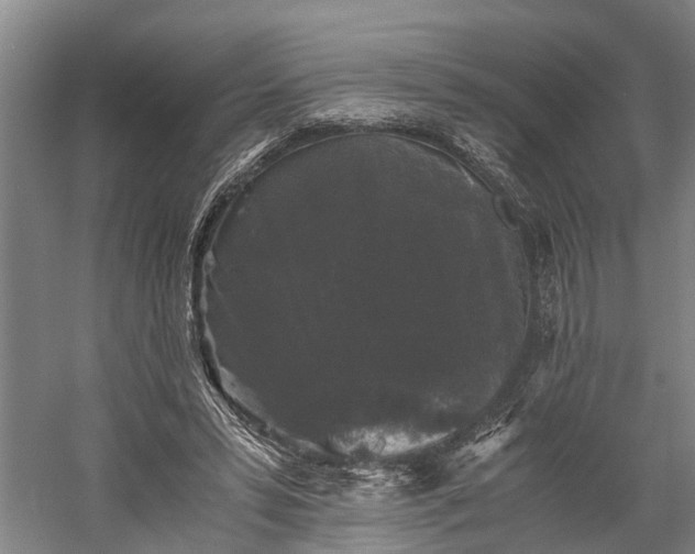 X0000058760399200510071521