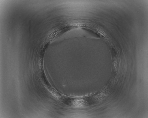 X0000058760410200510071521