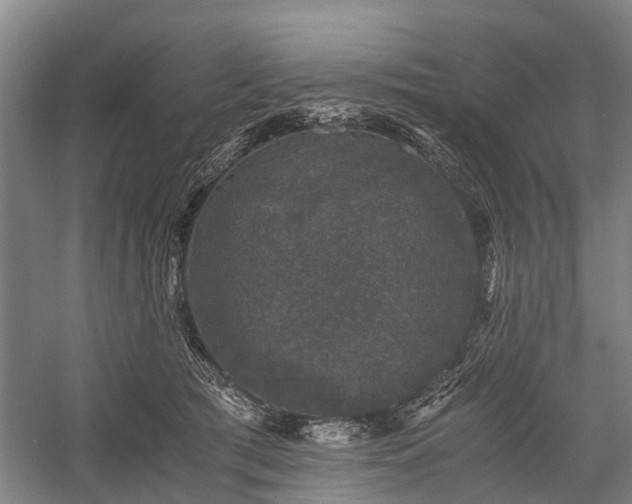 X0000058760417200510071521