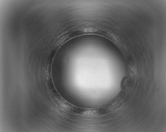X0000058760422200510071521