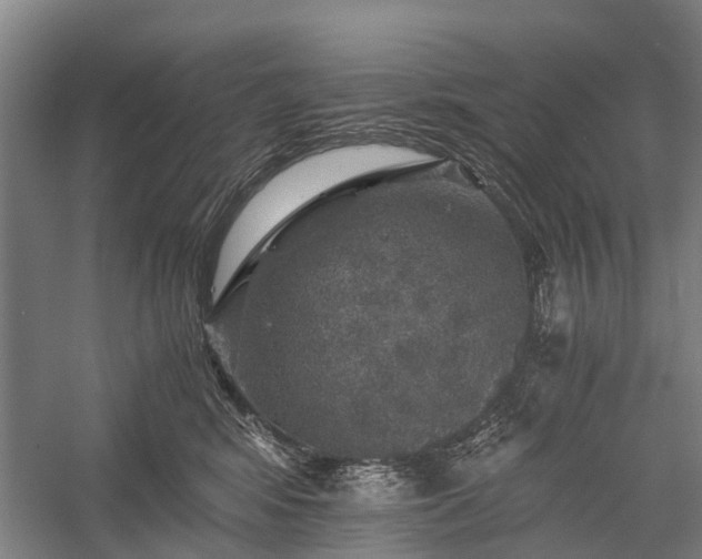 X0000058760424200510071521