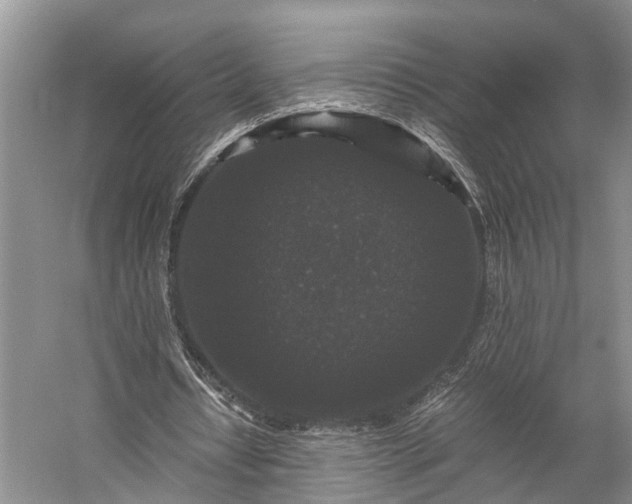 X0000058760434200510071520
