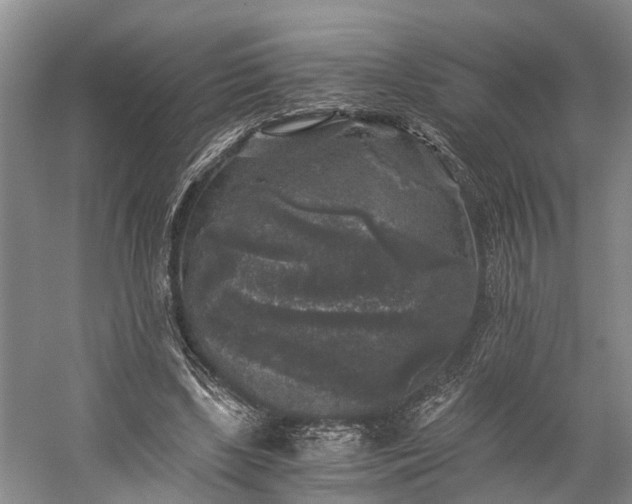 X0000058760443200510071520