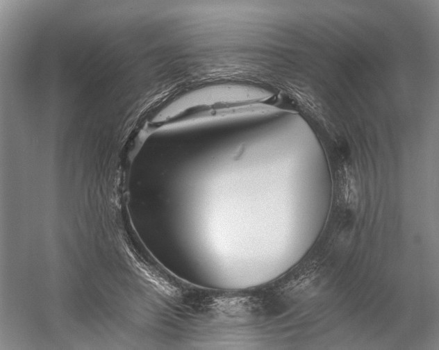 X0000058760450200510071520