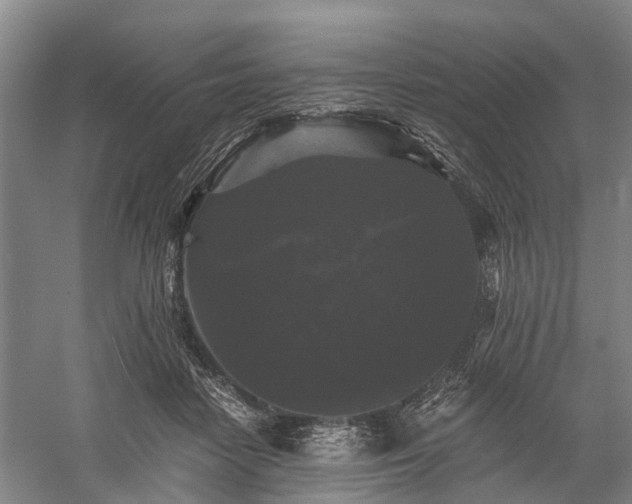 X0000058760458200510071520