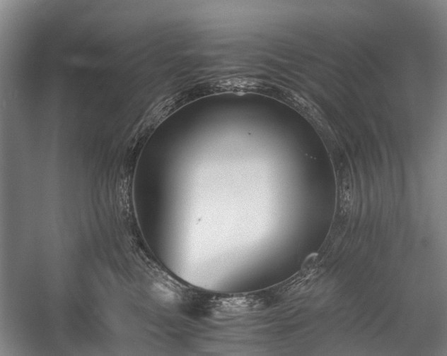 X0000058760473200510071521
