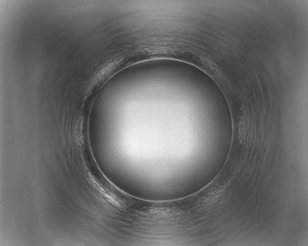 X0000058760490200510071520