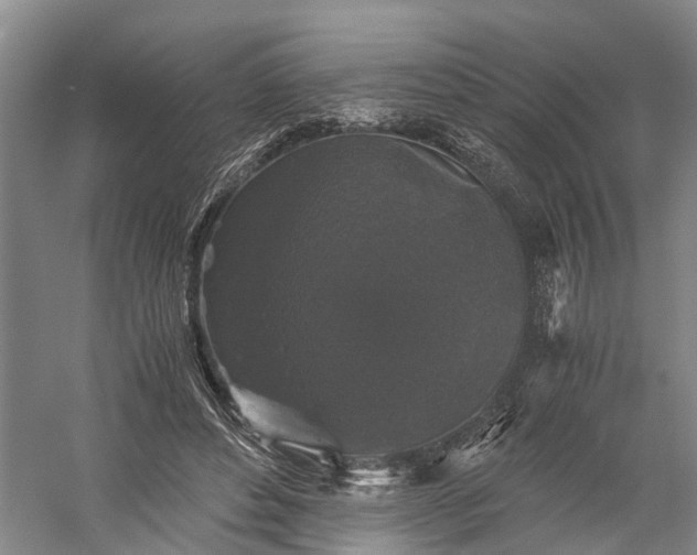 X0000058760496200510071520