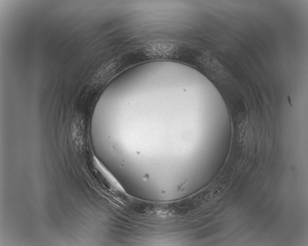 X0000058760498200510071520
