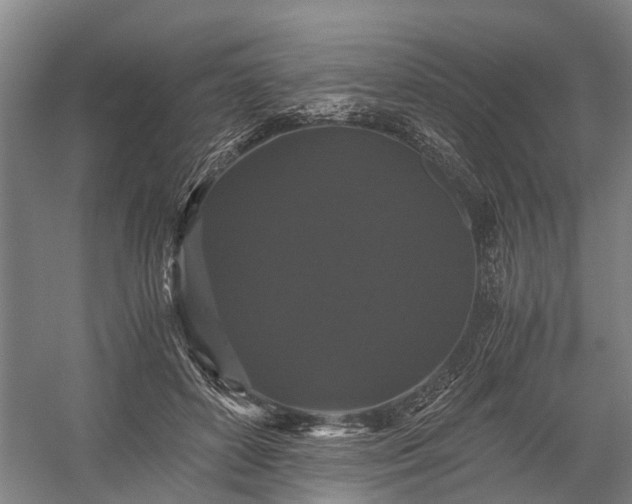 X0000058760504200510071520