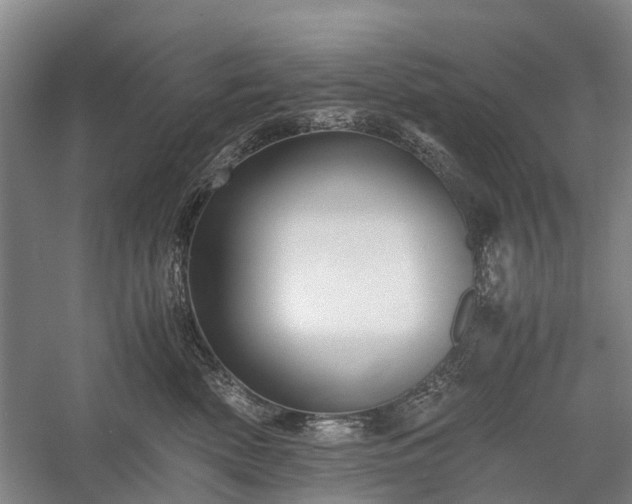 X0000058760522200510071519