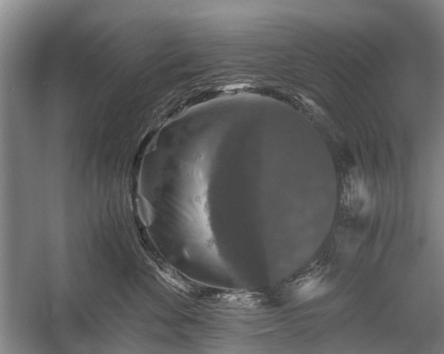 X0000058760524200510071519