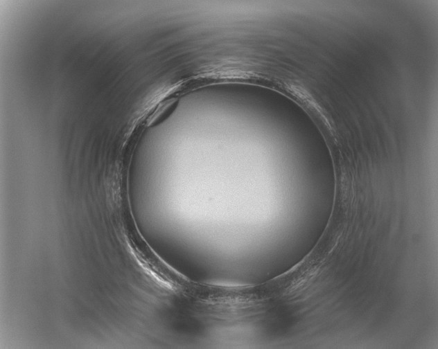 X0000058760533200510071518
