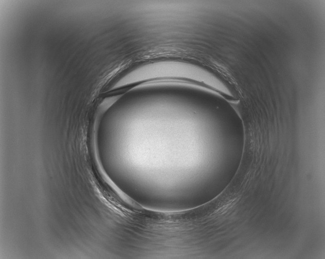 X0000058760538200510071519