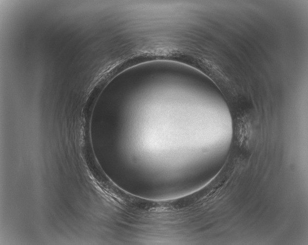 X0000058760544200510071519