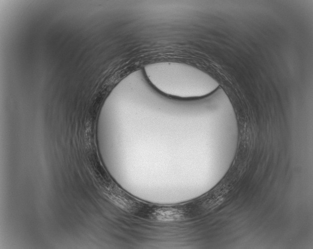X0000058760557200510071519