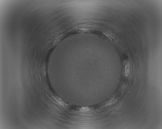 X0000058760562200510071519