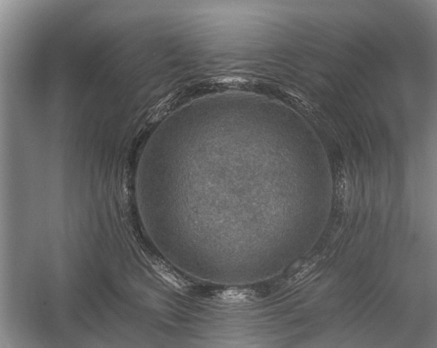 X0000058760566200510071519
