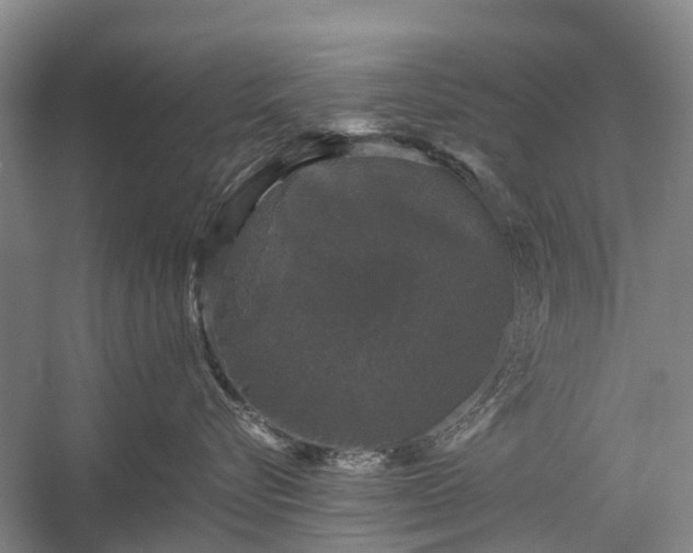 X0000058760576200510071519