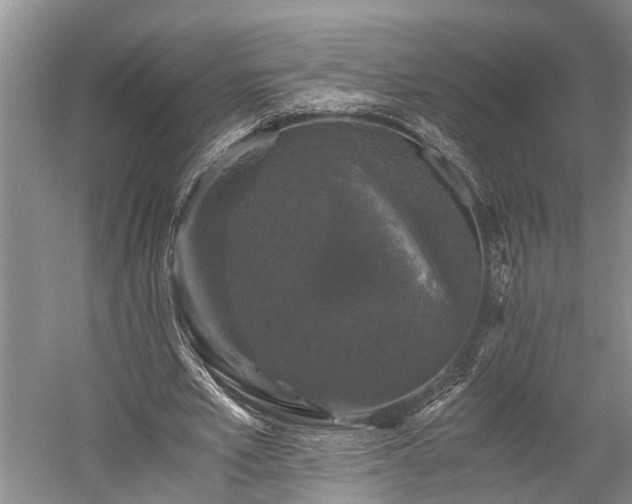 X0000058760581200510071518