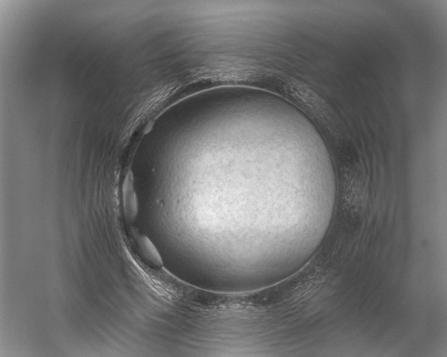 X0000058760586200510071518
