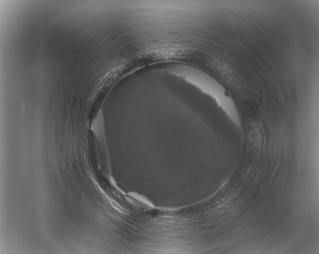 X0000058760590200510071518