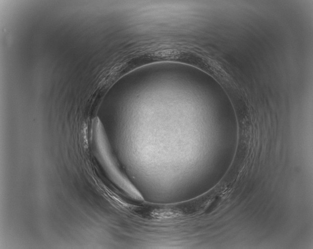 X0000058760597200510071518