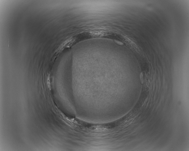 X0000058760601200510071518