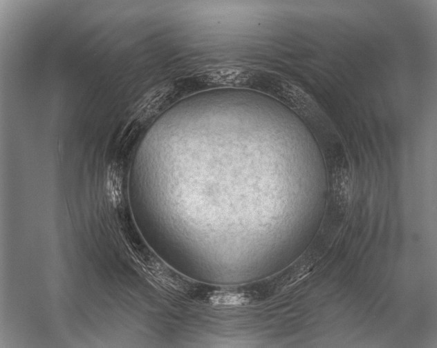 X0000058760602200510071518