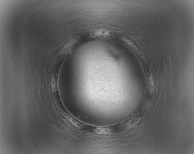 X0000058760617200510071518