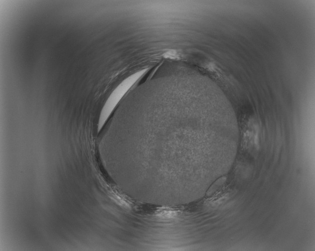 X0000058760620200510071518