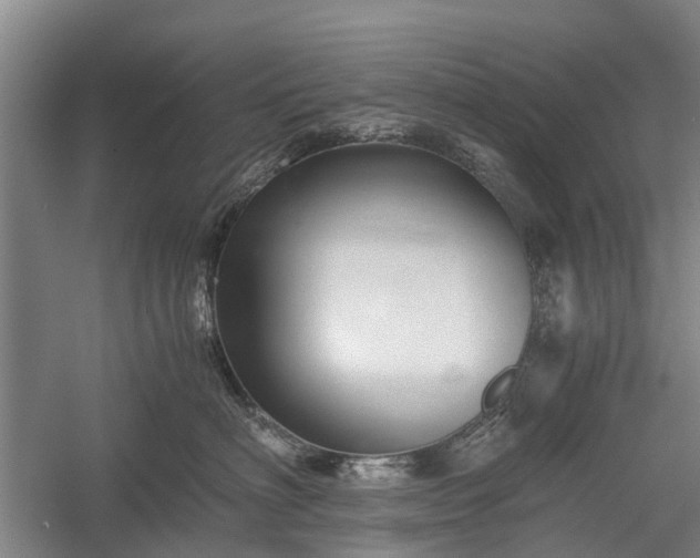 X0000058760622200510071518