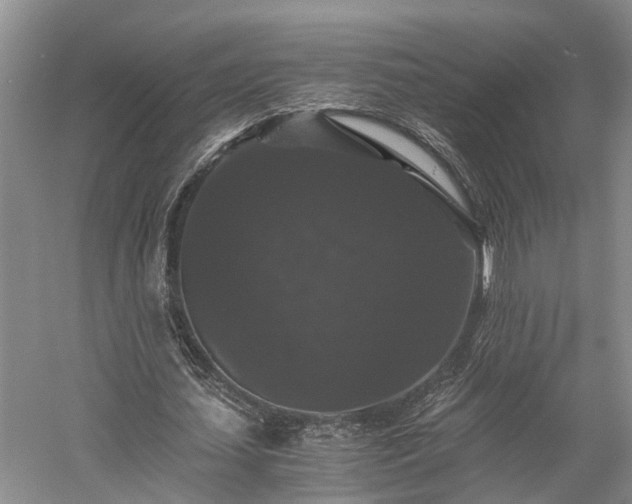 X0000058760627200510071517