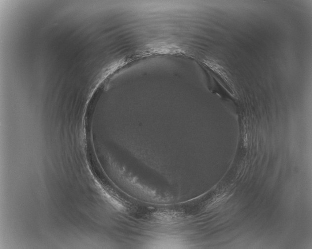 X0000058760630200510071517